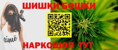 стафф Кингисепп