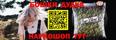 стафф Кингисепп