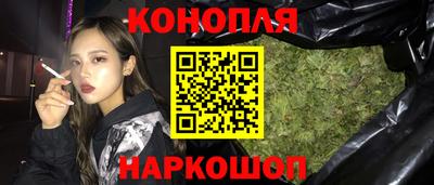 стафф Кингисепп