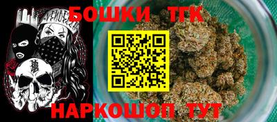 стафф Кингисепп
