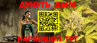 стафф Кингисепп