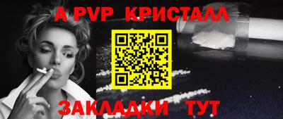 стафф Кингисепп