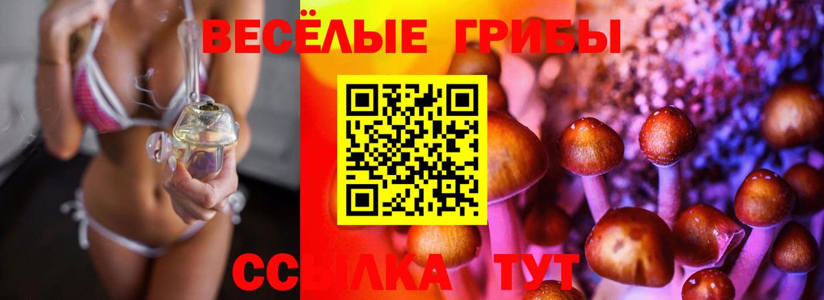 Азов  Псилоцибиновые грибы мухоморы  где можно купить   Вход с VPN 